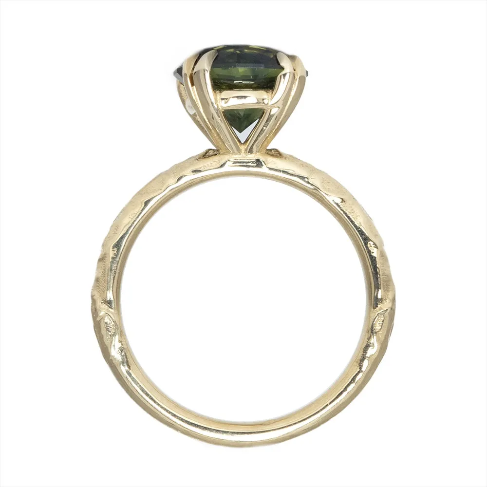 3.60ct Round Australian Sapphire Evergreen Double Pronged Solitaire in 14k Yellow Gold