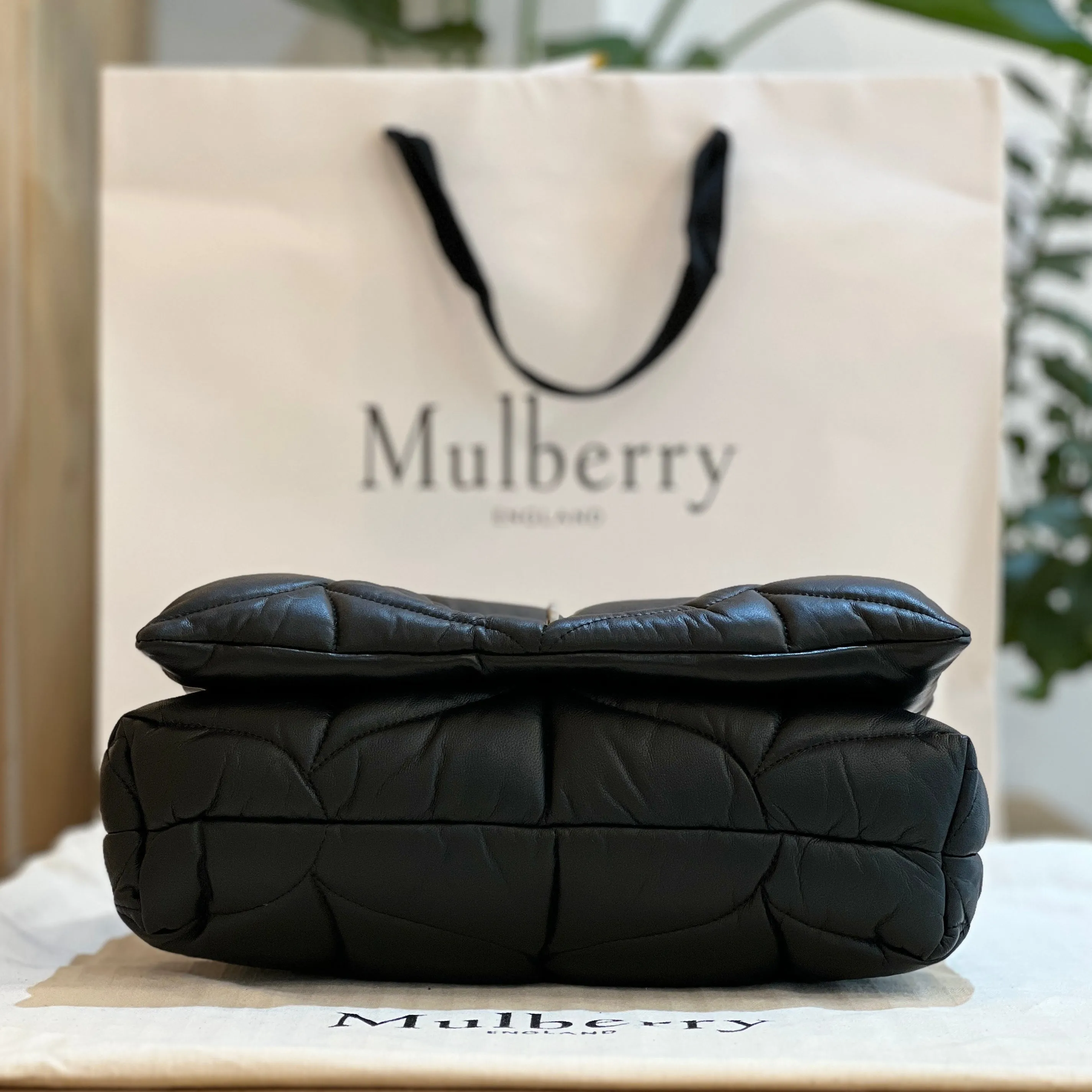 Mulberry Softie