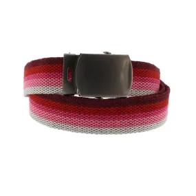 Pink Shades Stripe Canvas Webbing Belt with Shiny Silver Slider Buckle (Length - 120cm, Width - 3cm)