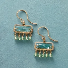 Predictions Earrings