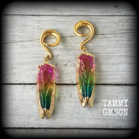 Rainbow quartz cicada gauged earrings-Insect ear weights