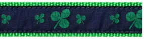 Shamrock Belt